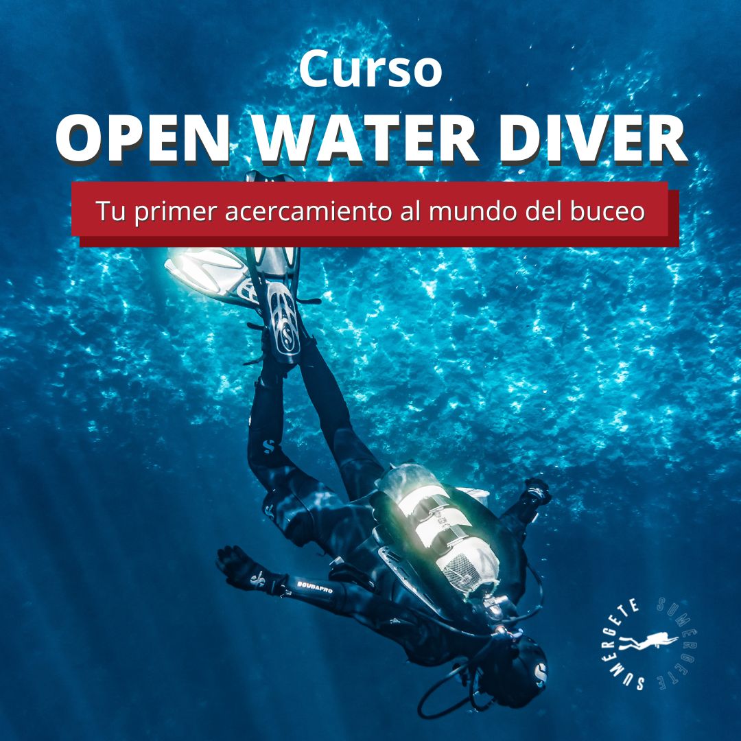 open-water-diver-buceando